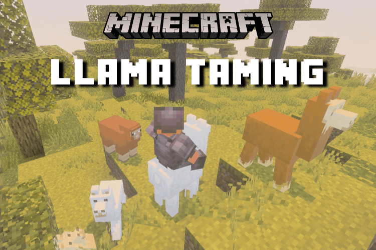 Minecraft Llama Taming: How to Win Them Over