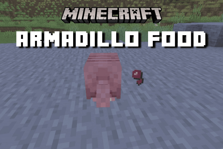 What Do Armadillos Eat in Minecraft? Full Food Guide
